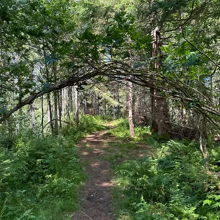 Camping Trollstigen And Gjestegard